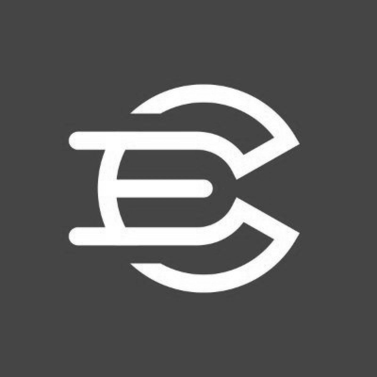 CESSStorage logo